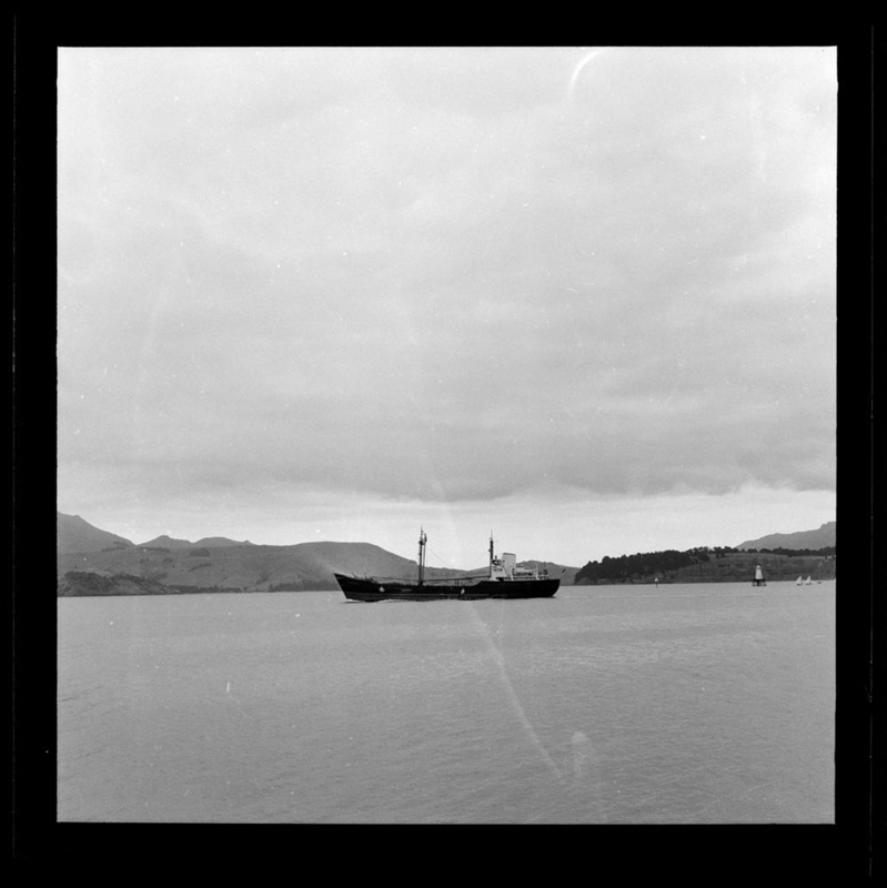 Tawanui In Lyttelton Harbour Unknown Ehive