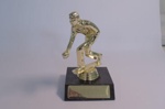 Goldfields Trophy; Ingleburn Wholesale Trophy Mart; D-BCL-024