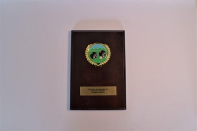 Leumeah Motel Plaque; D-BCL-049