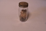 Jar of Shoe Tacks; Unknown; C-15-0055