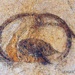 Painting of Stars and Four Direction Animals, <a href="https://www.asuka-park.jp/kitoraguide/list/112.html"target="_blank">Asuka Park, Kitora Tomb</a>; 7th to 8th c.; Japan; EXH130: Kitora Tomb