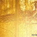 Painting of Stars and Four Direction Animals, <a href="https://www.asuka-park.jp/kitoraguide/list/112.html"target="_blank">Asuka Park, Kitora Tomb</a>; 7th to 8th c.; Japan; EXH130: Kitora Tomb