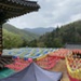 Odaesan (오대산; 五臺山) <a href="http://woljeongsa.org/bbs/content.php?co_id=6/"target="_blank">Buddhist Temples and Shrines</a>; 7th c; Korea; EXH91: Odaesan