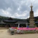 Odaesan (오대산; 五臺山) <a href="http://woljeongsa.org/bbs/content.php?co_id=6/"target="_blank">Buddhist Temples and Shrines</a>; 7th c; Korea; EXH91: Odaesan