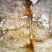 Painting of Stars and Four Direction Animals, <a href="https://www.asuka-park.jp/kitoraguide/list/112.html"target="_blank">Asuka Park, Kitora Tomb</a>; 7th to 8th c.; Japan; EXH130: Kitora Tomb