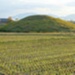 Fujinoki Tomb (藤ノ木古墳), tack and armour, <a href="https://waikaru.com/en/around/detail.php?pid=1553664057"target="_blank">Nara National Museum</a>; 6th century; EXH126: various