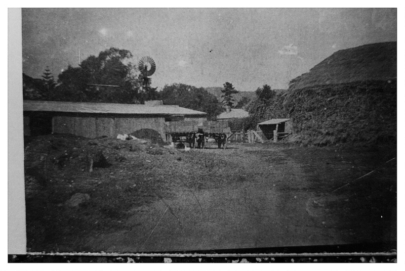 Stables and haystack of 'The Peppers' section 6 Daw Park; Schobbrook ...