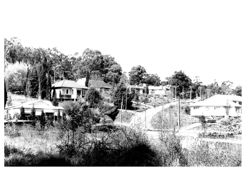 Housing at Forest Avenue Hawthorndene; 1961 ca; P01515WI eHive
