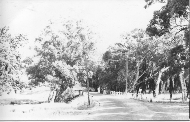 Belair Road, Mitcham and bridge; 1950 ca; P03233AR eHive
