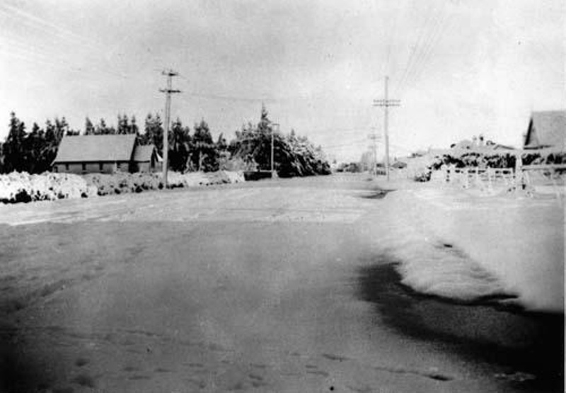 M16 1945 View along LeestonDunsandel Road after July 1945 snow NgNo