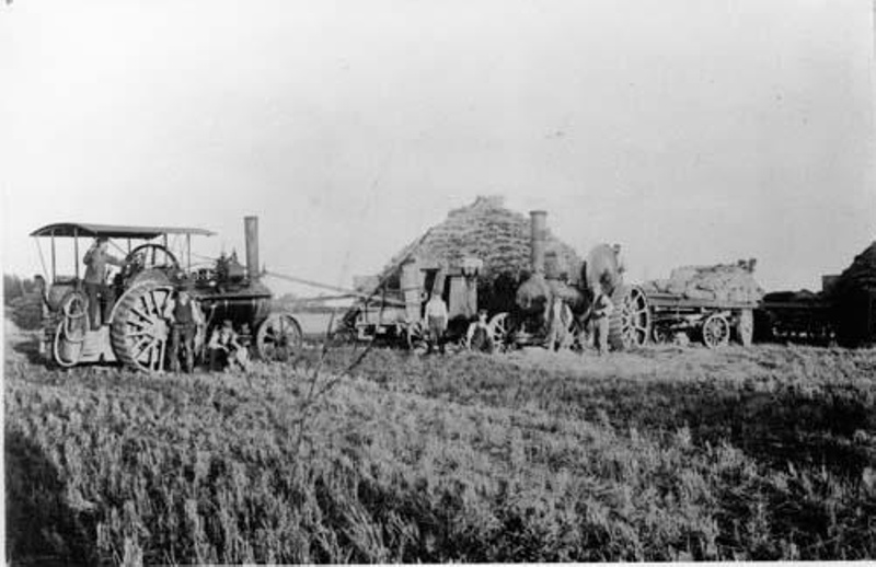 F29 Chaff cutting Waggon being loadedBill Burgess at wheel Tom Noble by ...