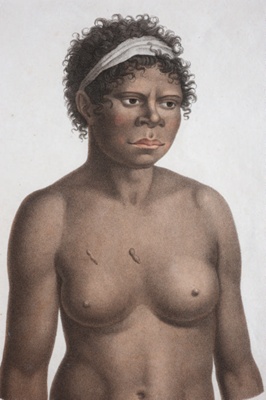 Portrait of a woman from the powerful Cam-mer-ray-gal (now usually Cameragal) tribe of Manly; Nicholas Martin Petit - Artist; 1824; SF000785