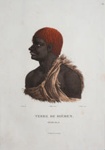 Terre de Diemen. Ouriaga (Young Tasmanian man from Bruny Island); Nicholas Martin Petit - Artist; 1807; SF000782