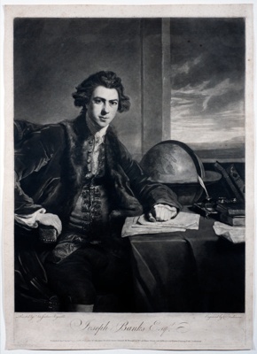 Portrait of Sir Joseph Banks as a young man; Joshua Reynolds - Artist; 1774; SF000764