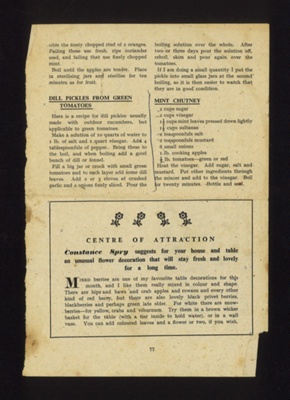 Recipes (2) - "Dill pickles from green Tomatoes" & "Mint chutney"; 5474 Recipes (2) - "Dill pickles from green Tomatoes" & "Mint chutney"; 5474