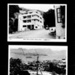 Black & white postcards of Hong Kong and coloured postcards of volcanoes ; 79744