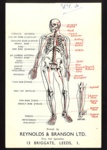 First Aid diagram - skeletal frame & arteries - "Reynolds & Branson Ltd" - Leeds; 13122