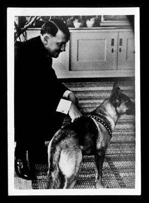 Photograph - Adolf Hitler with pet alsation dog - photograph allegedly taken by a member of Hitler's staff; 2852