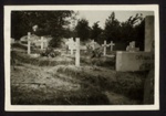 Photograph - unknown graveyard - possibly Belsen concentration camp; 6433 Photograph - unknown graveyard - possibly Belsen concentration camp; 6433