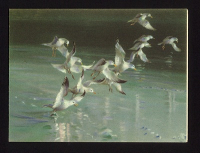 National savings stamps gift card - seagulls in flight; 13169