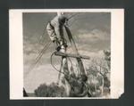 Photograph - French Moroccan signalmen atached to the 5th Army in Italy fixing wires to a telegraph pole; 2635