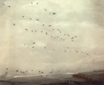 Photograph - Airborne troops dropped over Jordan 1952 - 2nd Bn Parachute Regiment plus 16 independent parachute signals squadron; 1/01/1952; 37877
