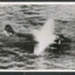Photograph - JU88 German aircraft crash lands in North Sea; 2620 Photograph - JU88 German aircraft crash lands in North Sea; 2620
