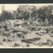 Black & white postcards of scenes after the dropping of the atomic bomb (Nagasaki, Hiroshima?); 79746