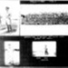 Copied photographs (3 x A4 pages) - "H" Battery 2nd R.H.A. - Royal Horse Artillery - Palestine 1947; 38064 Copied photographs (3 x A4 pages) - "H" Battery 2nd R.H.A. - Royal Horse Artillery - Palestine 1947; 38064