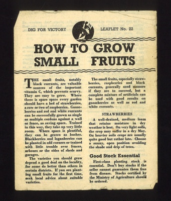Dig for victory leaflet no: 22 - "How to grow small fruits" - April 1944; 1/04/1944; 6419 Dig for victory leaflet no: 22 - "How to grow small fruits" - April 1944; 1/04/1944; 6419