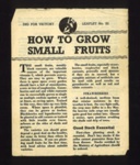 Dig for victory leaflet no: 22 - "How to grow small fruits" - April 1944; 1/04/1944; 6419 Dig for victory leaflet no: 22 - "How to grow small fruits" - April 1944; 1/04/1944; 6419