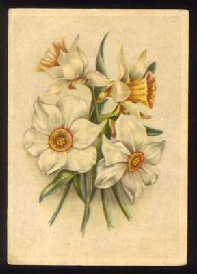 Handwritten postcard of flowers dated 05/07/1944 from Franz Glanz to mother & sister. saints day wishes. 2/url marsch btl B Newuhammer. in German with English translation. Franz Glanz a POW at Eden Camp.; 71526