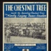 Sheet Music -"The Chestnut Tree" - (Underneath the Spreading Chestnut Tree) by Jimmy Kennedy - Tommie Connor - Hamilton Kennedy; 9117 Sheet Music -"The Chestnut Tree" - (Underneath the Spreading Chestnut Tree) by Jimmy Kennedy - Tommie Connor - Hamilton Kennedy; 9117