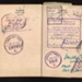 British passport - issued in Palestine - to Miss Sarah batten, a nurse born in Jaffa - 11/02/1914; 11/02/1914; 55914 British passport - issued in Palestine - to Miss Sarah batten, a nurse born in Jaffa - 11/02/1914; 11/02/1914; 55914