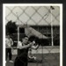 Photo of J.B McFeat competing at 'BTB Games', in July 1953. ; 76928