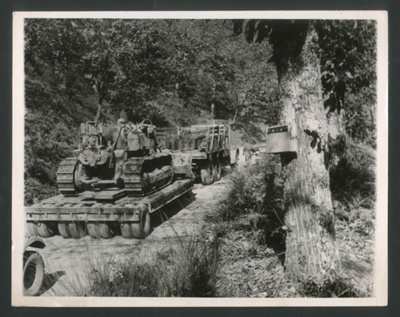 Photograph - British Army advancing at Roccamonfina Pass "mined" tree; 2618