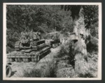Photograph - British Army advancing at Roccamonfina Pass "mined" tree; 2618