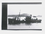 Photograph - H.M. trawler "Davy" - 147; 33084
