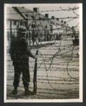 Official copyrighted war photograph- 21st May 1940- housing estate utilized as an internment camp for aliens; 56545 Official copyrighted war photograph- 21st May 1940- housing estate utilized as an internment camp for aliens; 56545