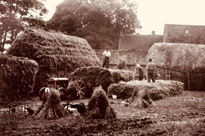 Printed Photograph of Eden Camp POWs at Mount Pleasant Farm in Lockton, Eden Camp; 79571