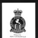 Information re: the army P.O.W. Escape Club + tie and lapel badge; 2475