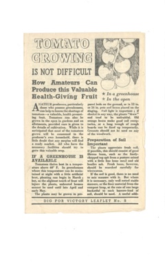 Dig for victory leaflet no: 8 - "Tomato growing is not difficult"; 34718