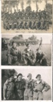 Photographs (7) with copies - British forces - 8th King's Royal Irish Hussars (?) - Holland 1945 horse show - Luneburg - September 1946 & 4th armoured brigade Christmas card; 36704
