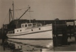 "Wai-Wera" - Fishing boat; TMA2021.001117 "Wai-Wera" - Fishing boat; TMA2021.001117