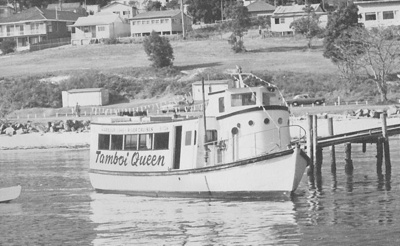 Photograph, "Tamboi Queen"
; Asquith, Bob; 1970; TMA2021.00162