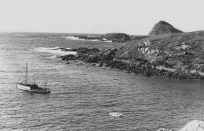 "Porpoise"; TMA2021.00106