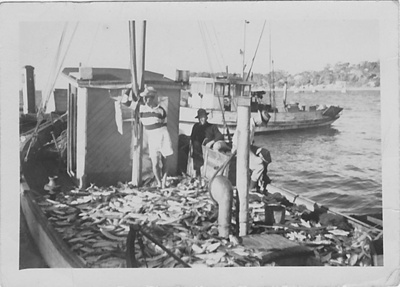 Photograph, "Irene H"; Hyde, Tom and Davis, Frank; 1948; TMA2021.00147