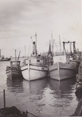 Photograph, "Terri K"
; Thompson, Sam; 1964; TMA2021.00189