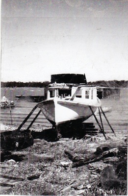 "Pumkin"
; TMA2021.00142