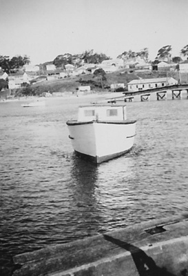 Photograph, "Odie"
; Unknown; 1954; TMA2021.00176